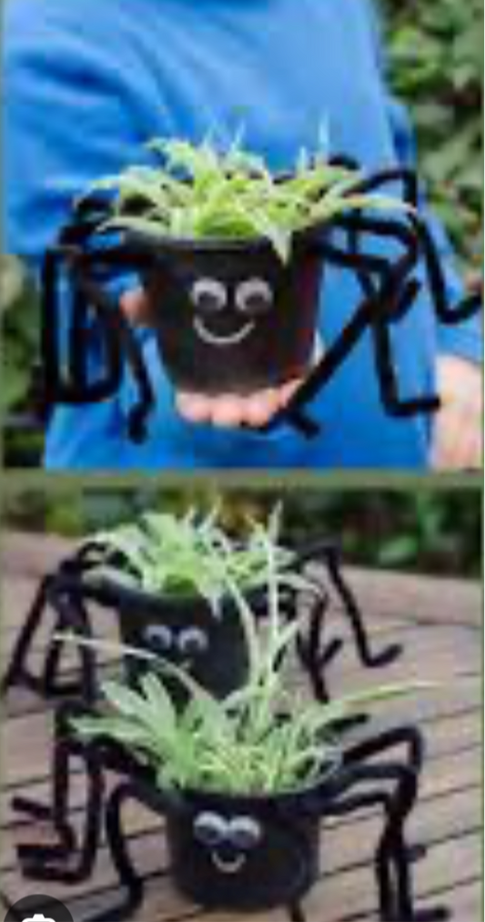 Kid’s Workshop: Spooky Spider Plants